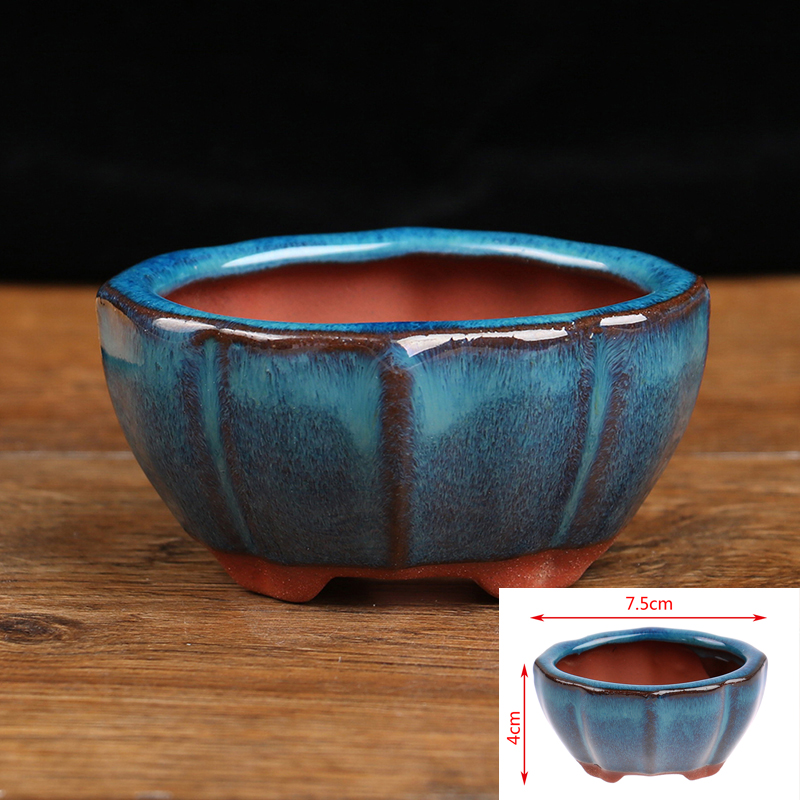 1pcs Bonsai Mini Ceramic Flowe - Japanese Garden Bonsai 评论和价格