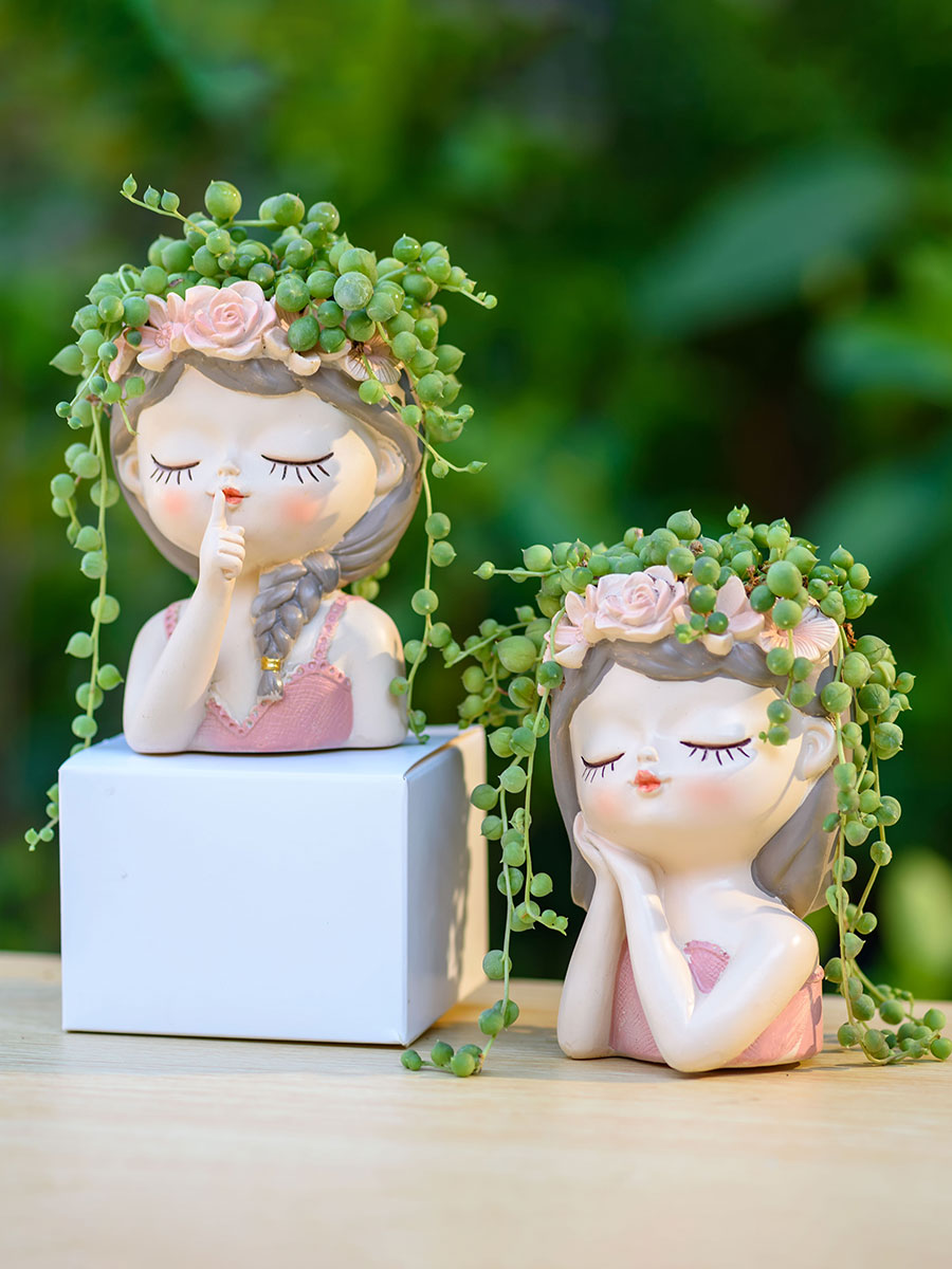 Fairy Succulents Planters Flow - Japanese Garden Bonsai 评论和价格
