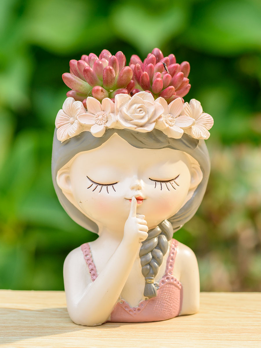 Fairy Succulents Planters Flow - Japanese Garden Bonsai 评论和价格