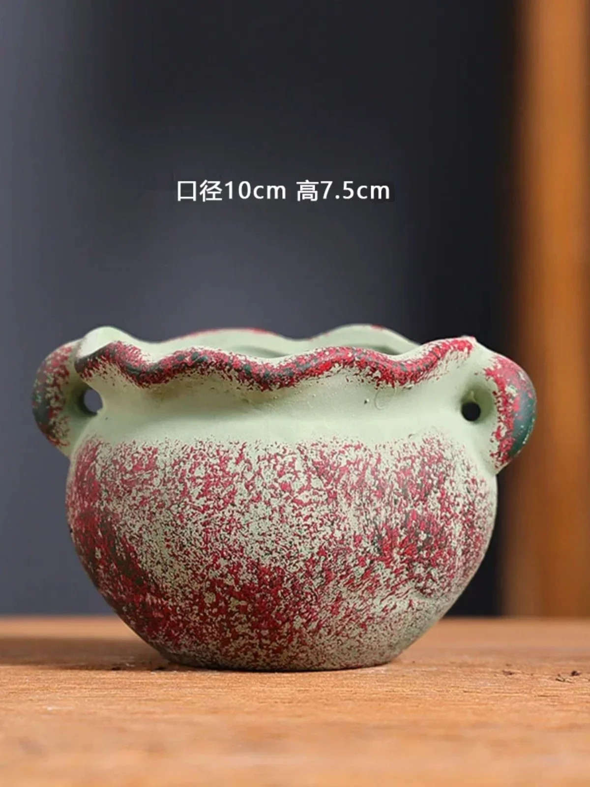 Mediterranean Succulent Flower - Japanese Garden Bonsai 评论和价格